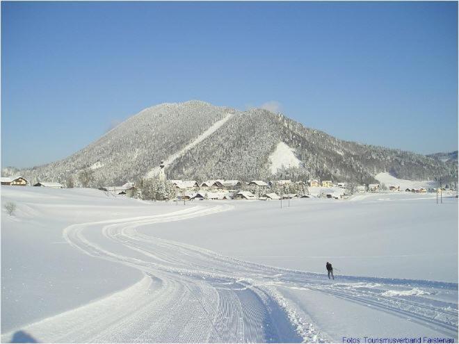 Appartement Bergblick II Faistenau Kültér fotó